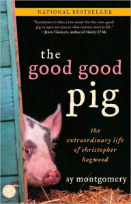 The Good Good Pig2