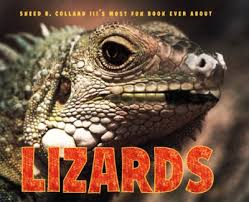 lizards2